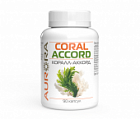 Коралл-Аккорд (Coral-Accord)